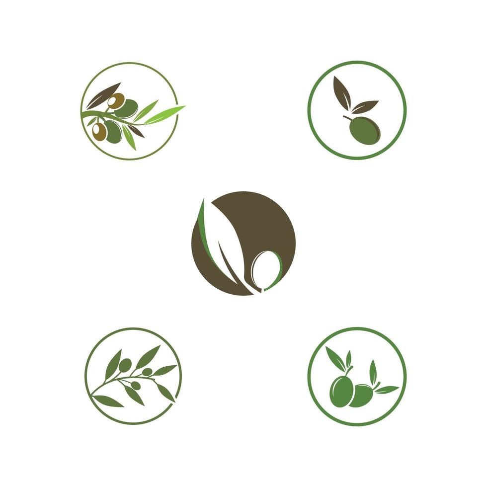 olive icon vector illustration design template