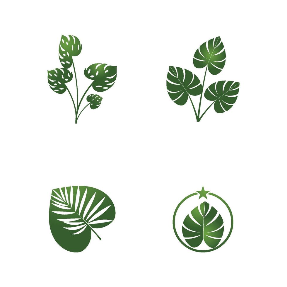 diseño de vector de logotipo de hoja de monstera