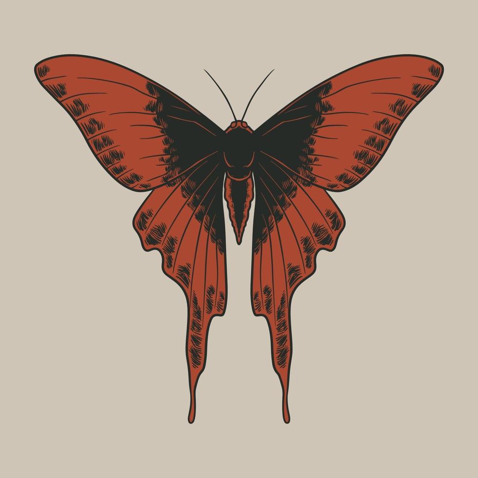 Vector vintage of butterflies