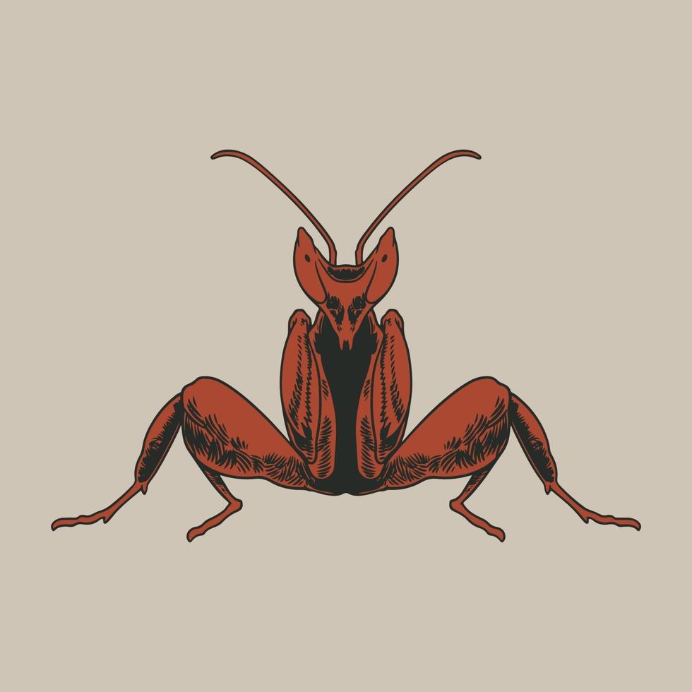 Ilustración de dibujo de grabado antiguo de mantis vector