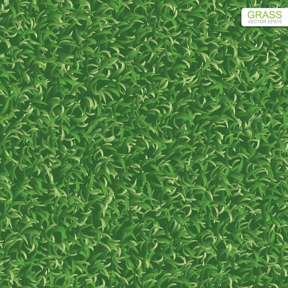 Green lawn grass texture for background. Vector. vector