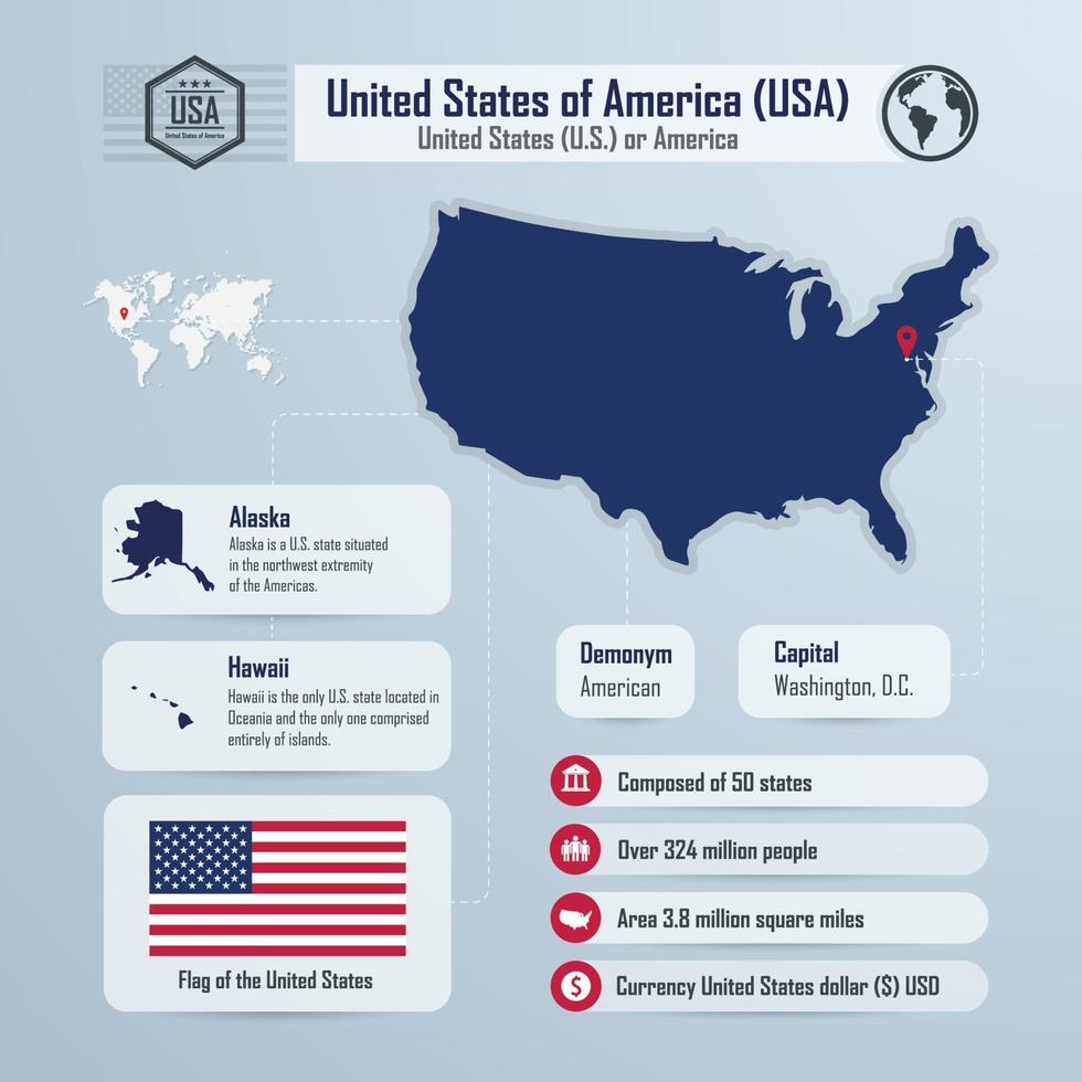 Infographic design of United States of America, USA vector