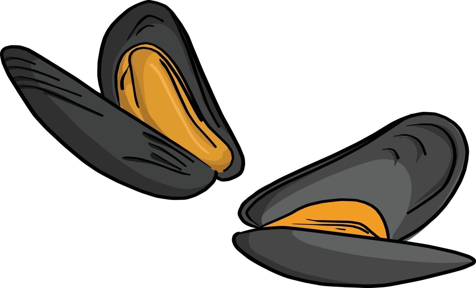 mussel vector illustration sketch doodle hand drawn