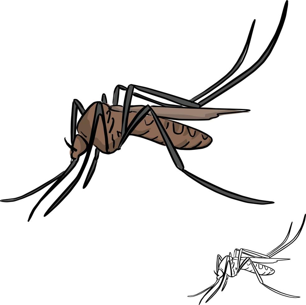 Doodle de dibujo de ilustración de vector de mosquito marrón