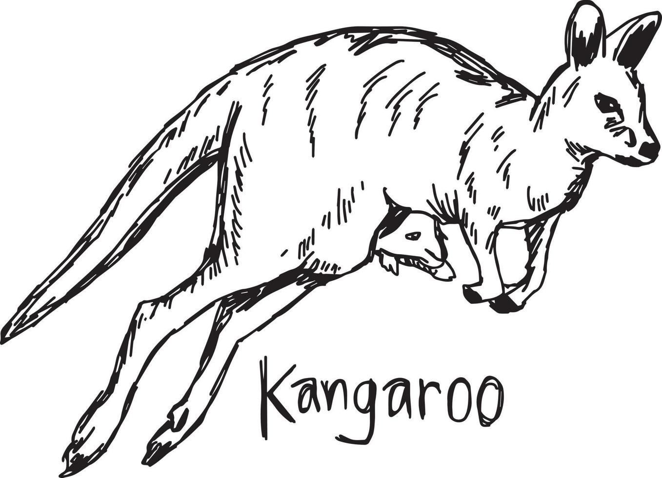 Kangaroo with its baby in the pocket - vector illustration