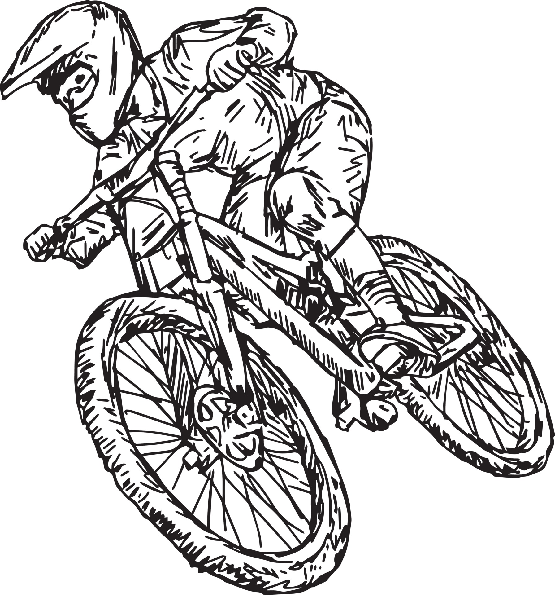 cycling mountain bike - vector illustration 3127249 Vector Art at Vecteezy