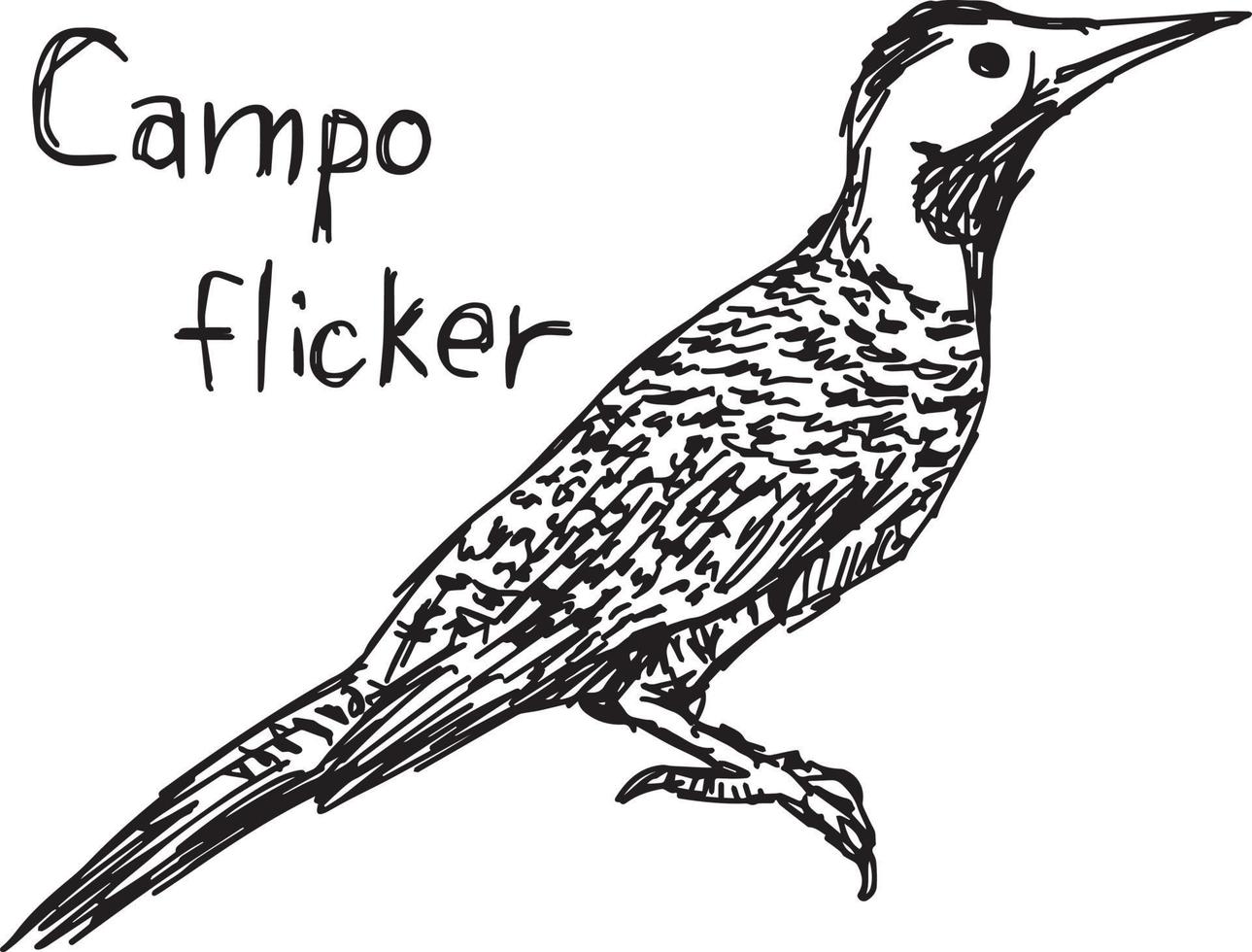 campo flicker - ilustración vectorial boceto dibujado a mano vector