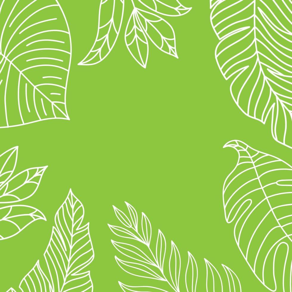 Vector tropical jungle frame with palm trees and leaves