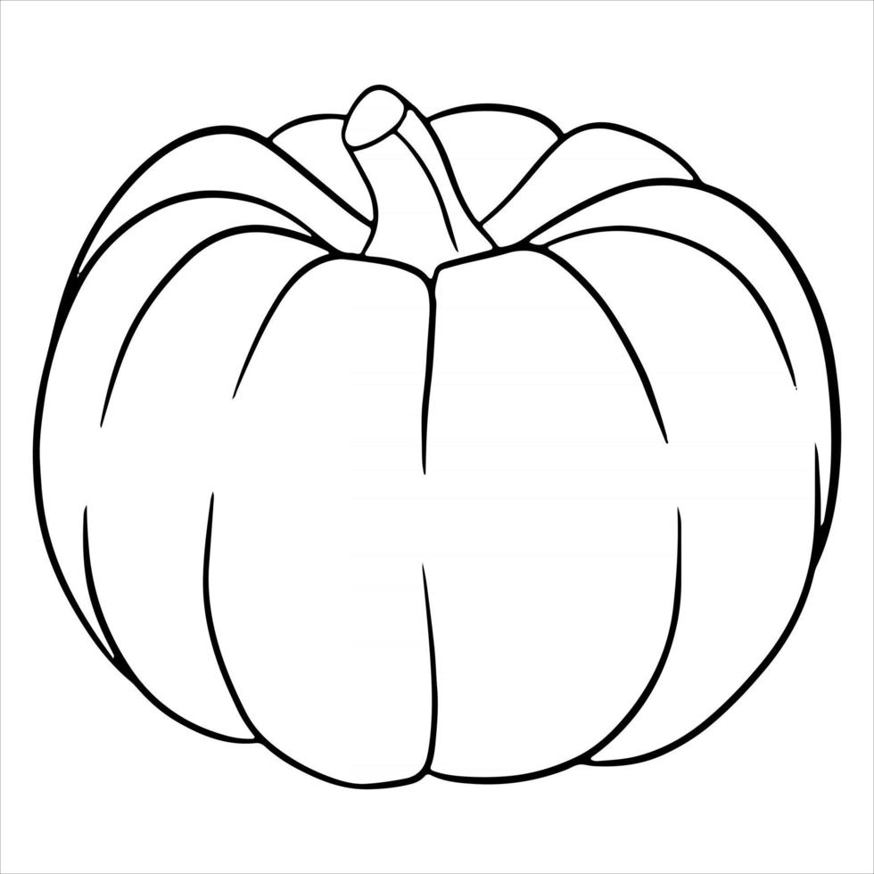 Vegetarian food. Ripe pumpkin. Harvest. Halloween. Line style. vector