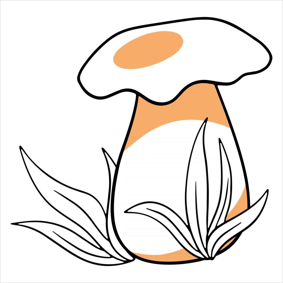 Vegetarian food. Edible porcini mushroom in the grass. vector