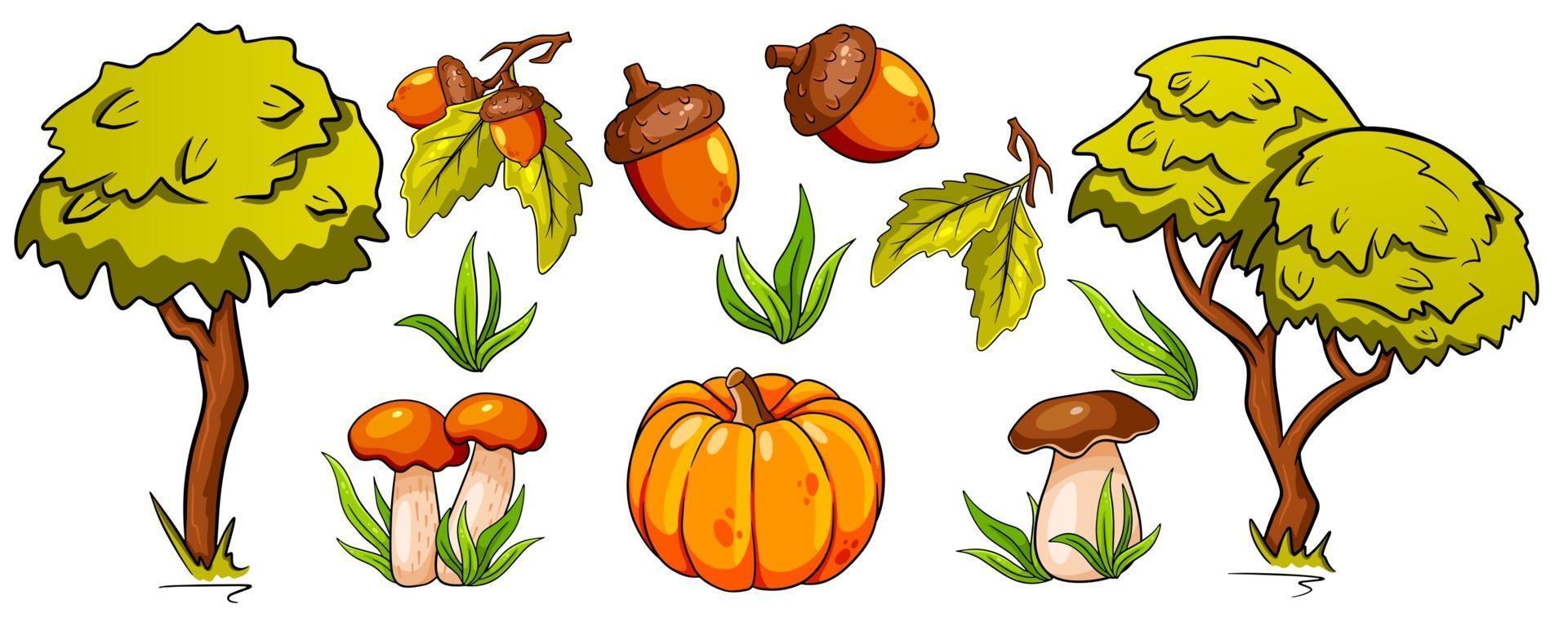 Autumn set. Mushrooms, pumpkin, acorns, grass, oak leaves, trees. vector