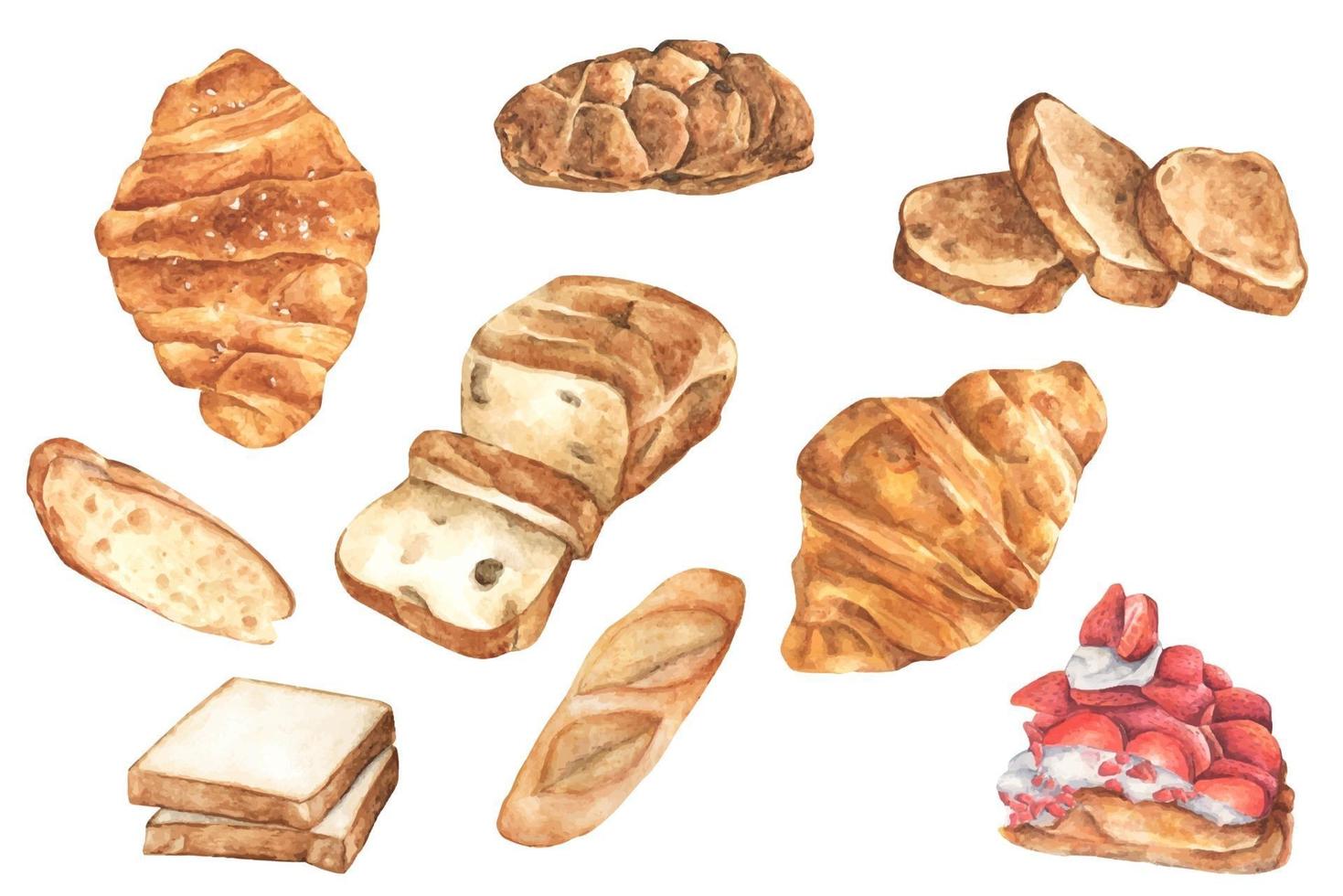 Watercolor bread set. Different kinds of bread. vector