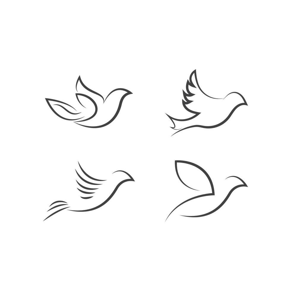 Dove Logo Template vector