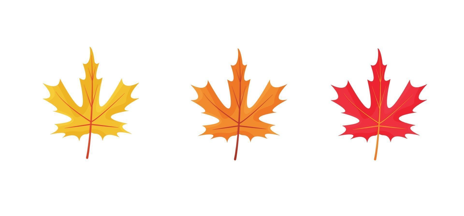 Autumn leaves icons isolated on white background vector