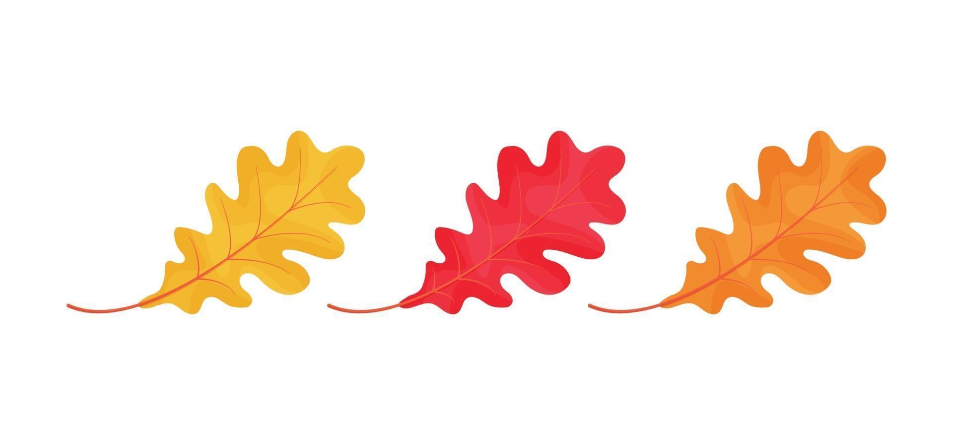 Autumn leaves icons isolated on white background vector