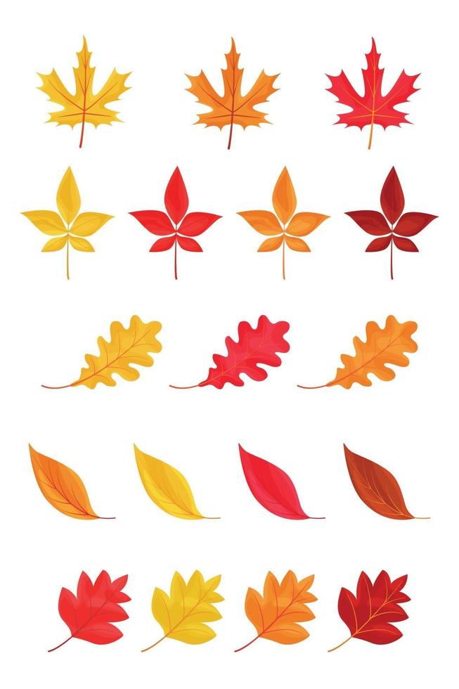 hojas de otoño o follaje de otoño iconos aislados sobre fondo blanco vector