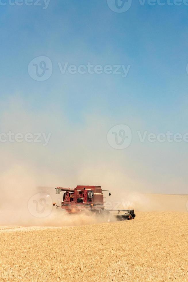 Dust in Wheat Field photo