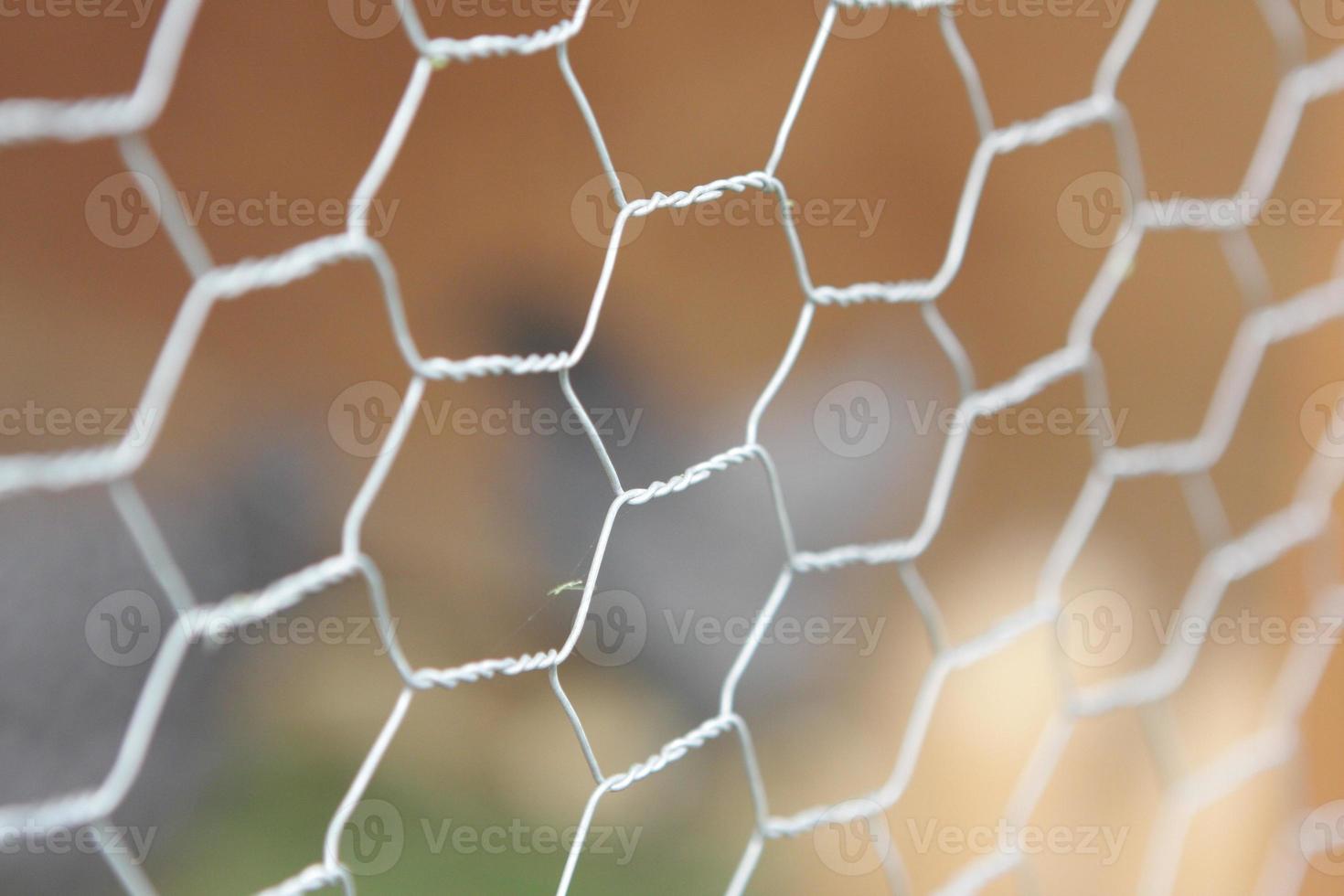 chicken wire fencing 3130940 Stock Photo at Vecteezy