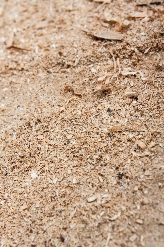 Sawdust on the ground photo