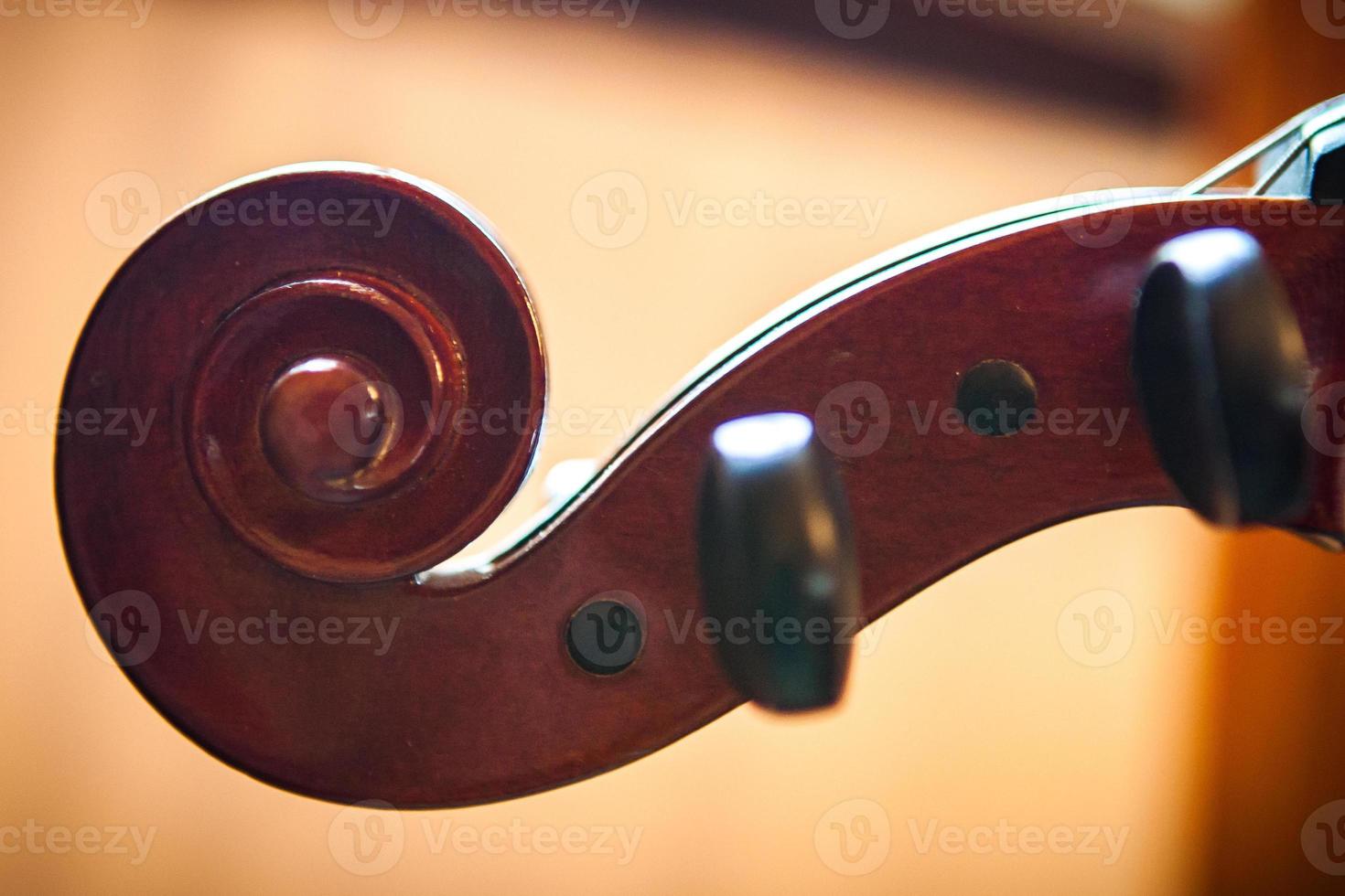 Fiddle head on violin photo