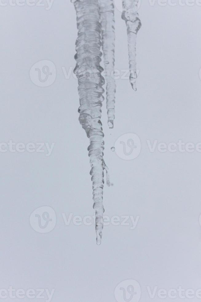 long icicle melting photo