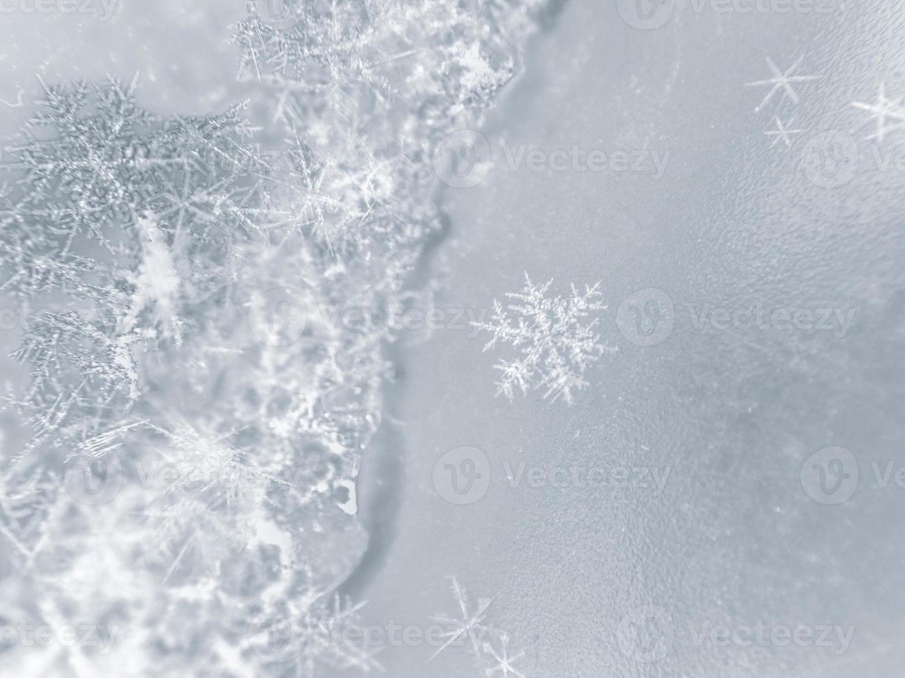 snowflake close up photo