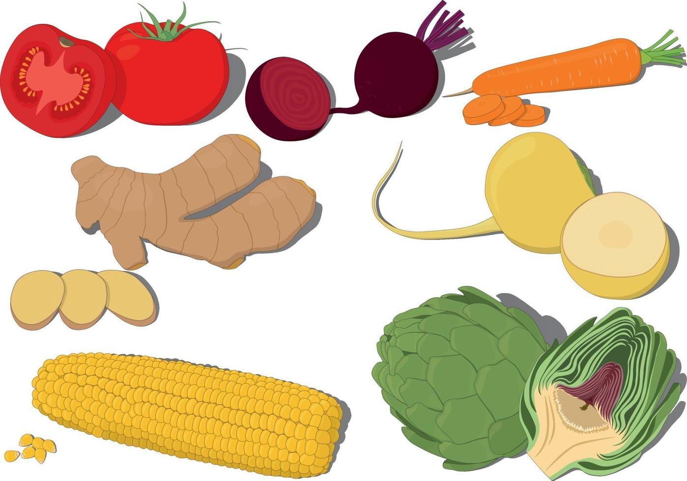 Ilustración de vector de colección de verduras frescas enteras y cortadas