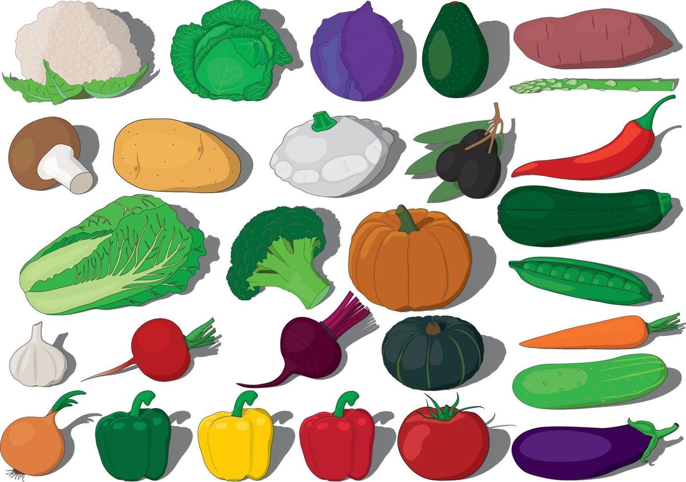 Ilustración de vector de colección de verduras