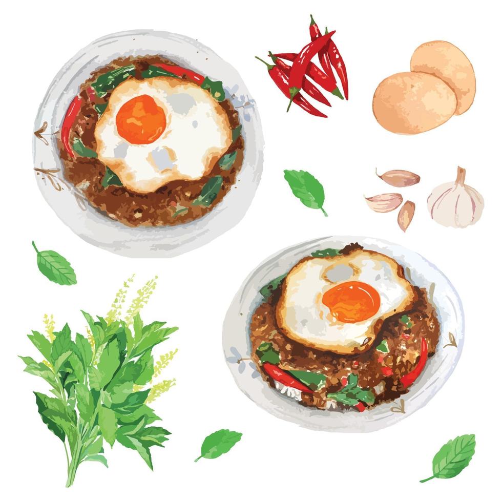 Thai Stir-Fried Minced Beef with Holy basil and Crispy Fried egg vector
