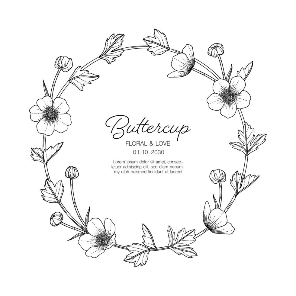 Hand drawn buttercup floral greeting card background. vector