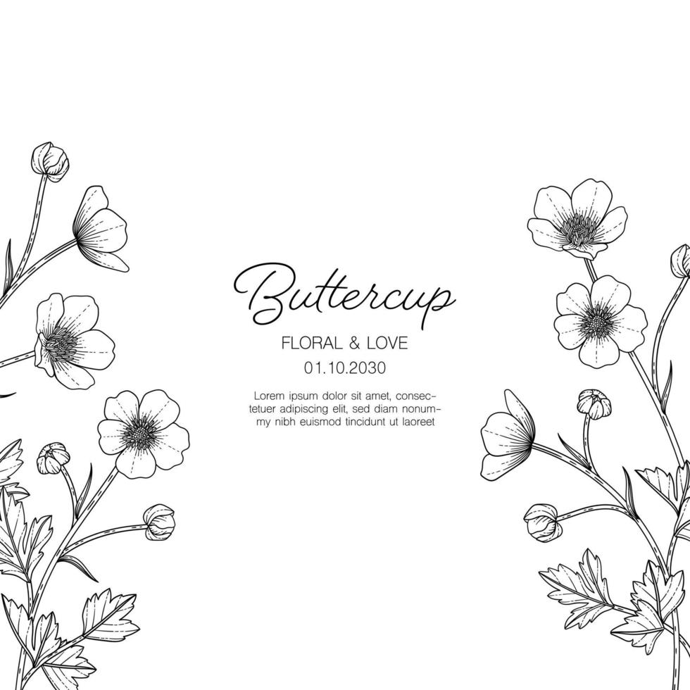 Hand drawn buttercup floral greeting card background. vector