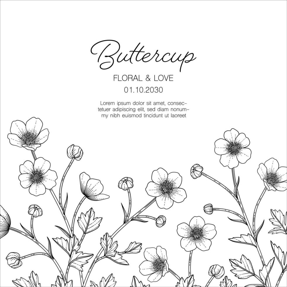 Hand drawn buttercup floral greeting card background. vector