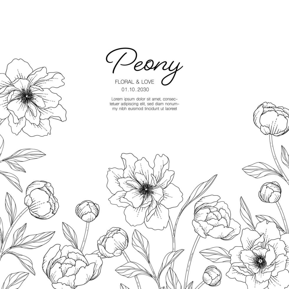 Hand drawn peony floral greeting card background. vector