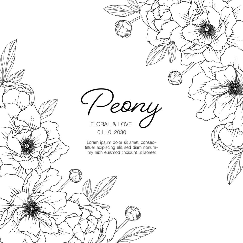 Hand drawn peony floral greeting card background. vector