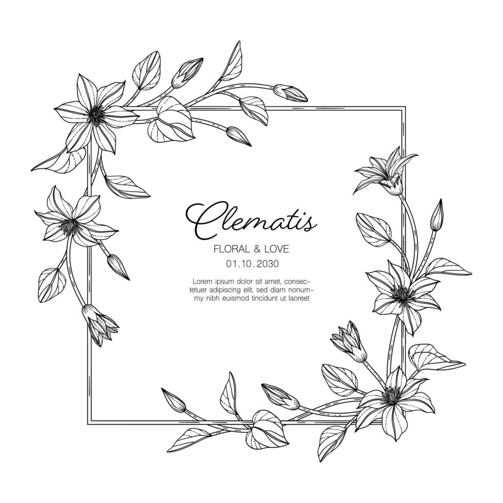 Fondo de tarjeta de felicitación floral clematis dibujado a mano. vector