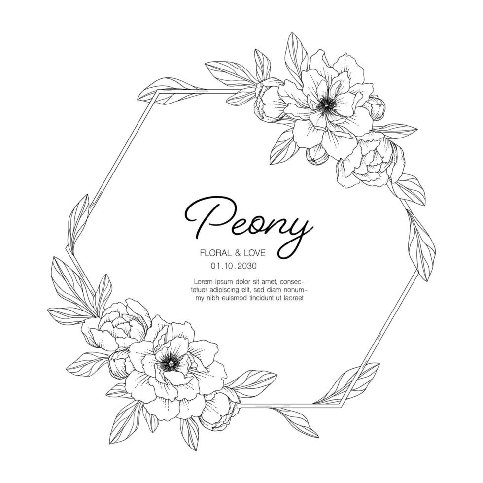 Hand drawn peony floral greeting card background. vector