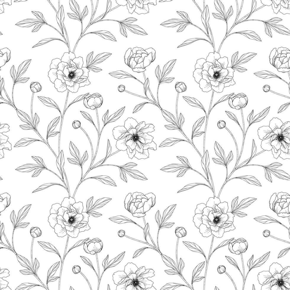 Seamless pattern peony floral hand drawn illustration. vector