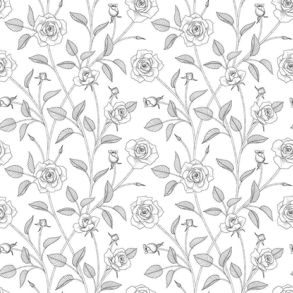 Seamless pattern rose floral hand drawn illustration. vector