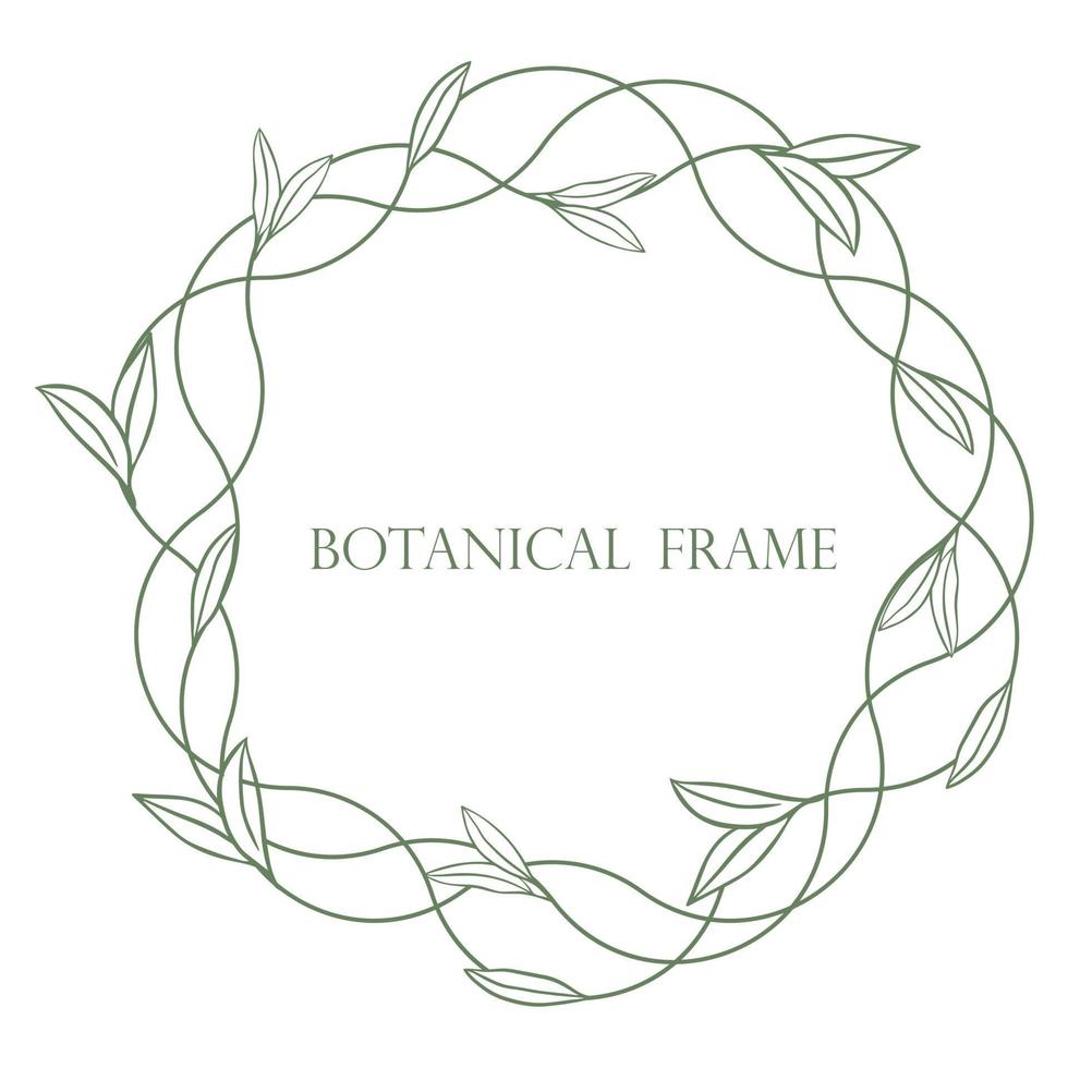 Round botanical foliage frame vector illustration