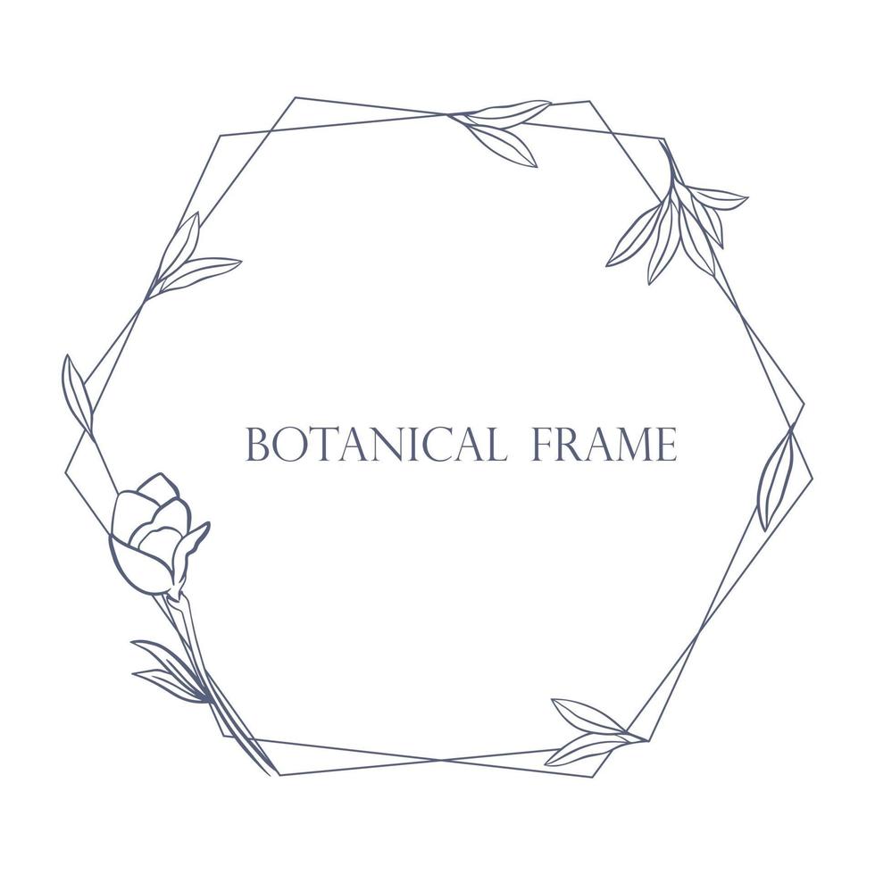 Hexagonal frame with leaves and flowers vector illustration 3132566