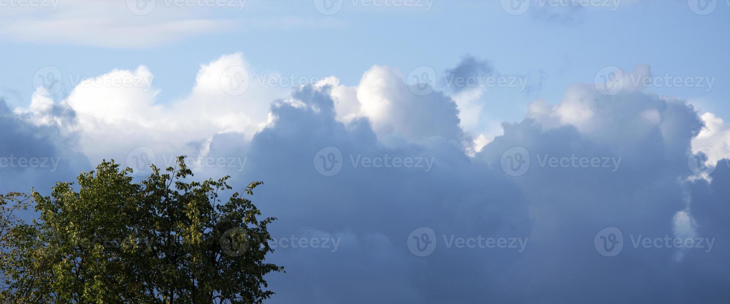 A tree against the backdrop of a stormy sky photo