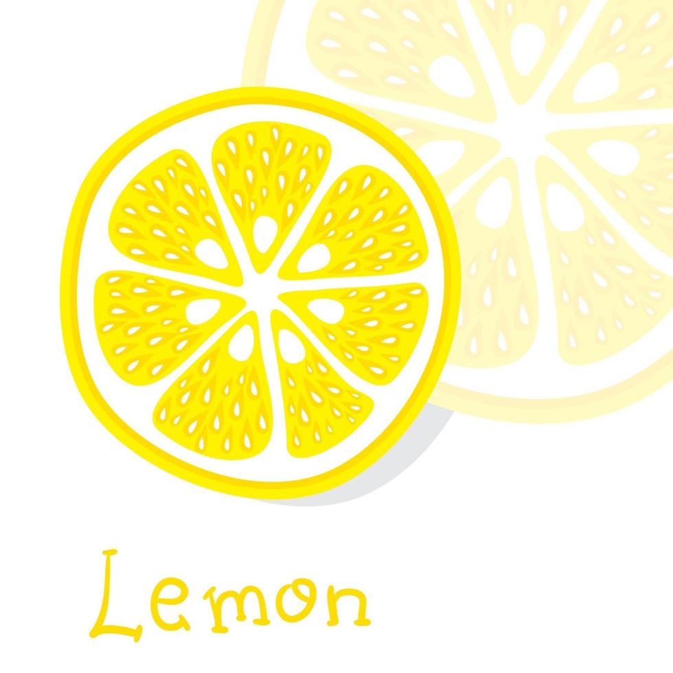 citrus lemon, lime, orange, grapefruit. Vector illustration.