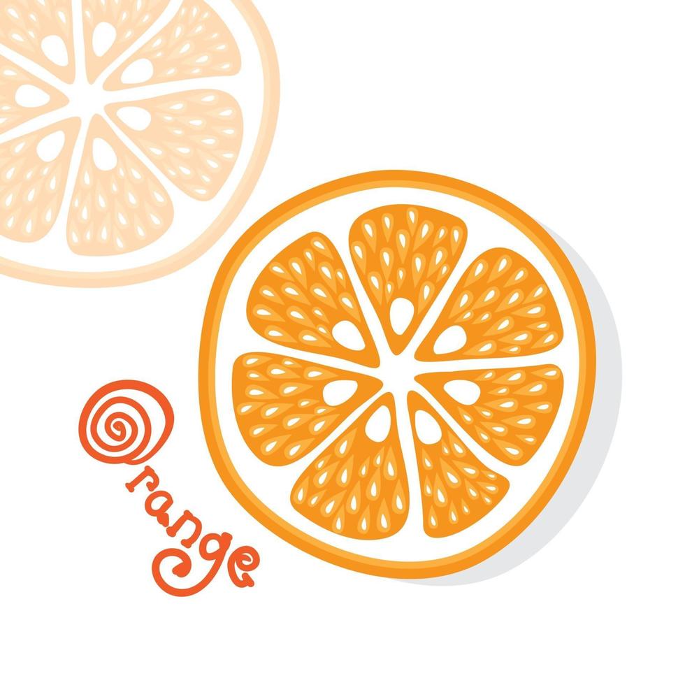 cítricos limón, lima, naranja, pomelo. ilustración vectorial. vector