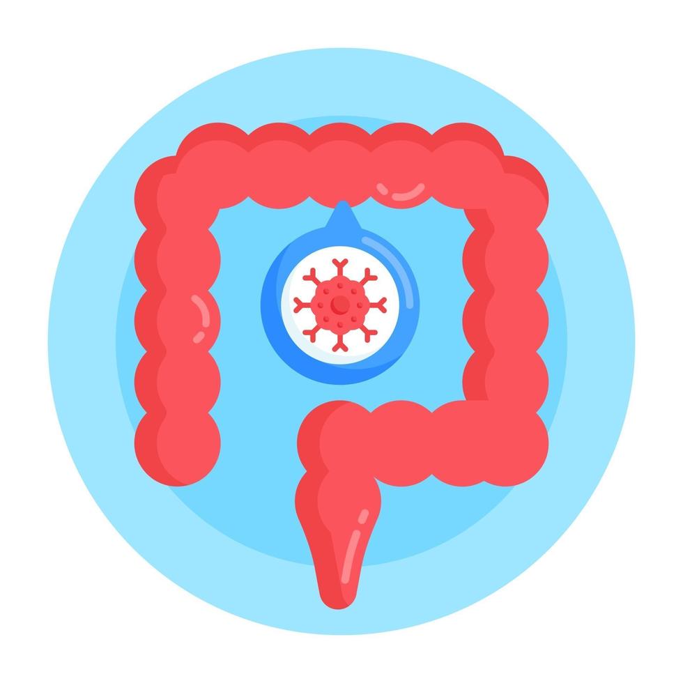 Intestine Bowel Cancer vector