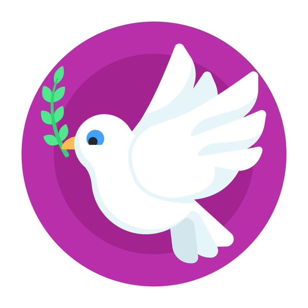 Dove Peace bird vector