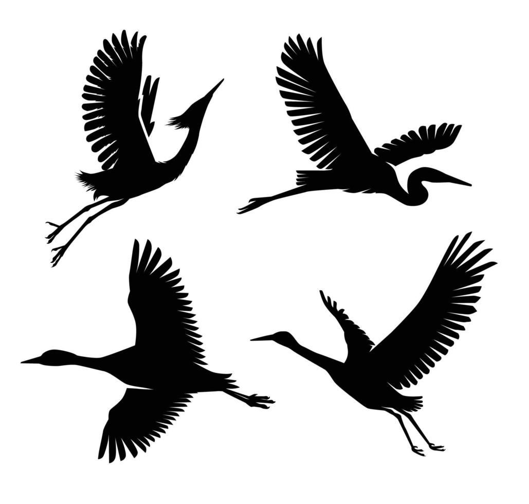 Colección de siluetas de aves de garza y cigüeña vector