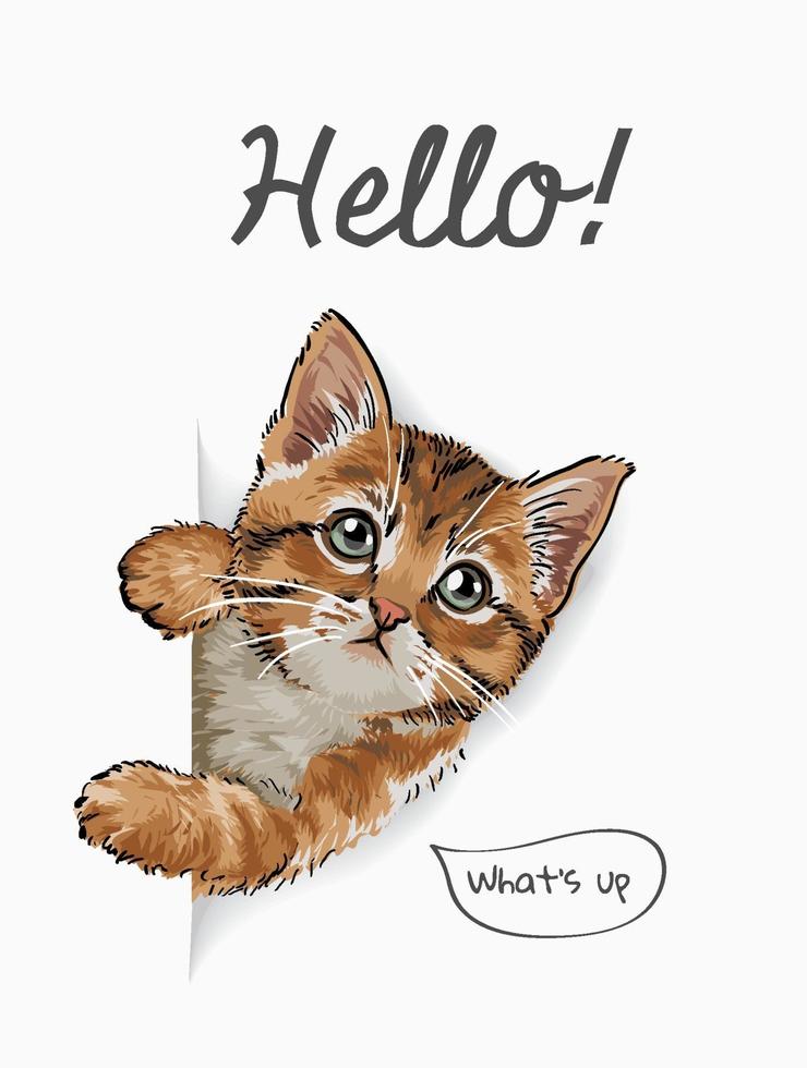 hola lema con lindo gato saliendo de la ilustración de papel vector