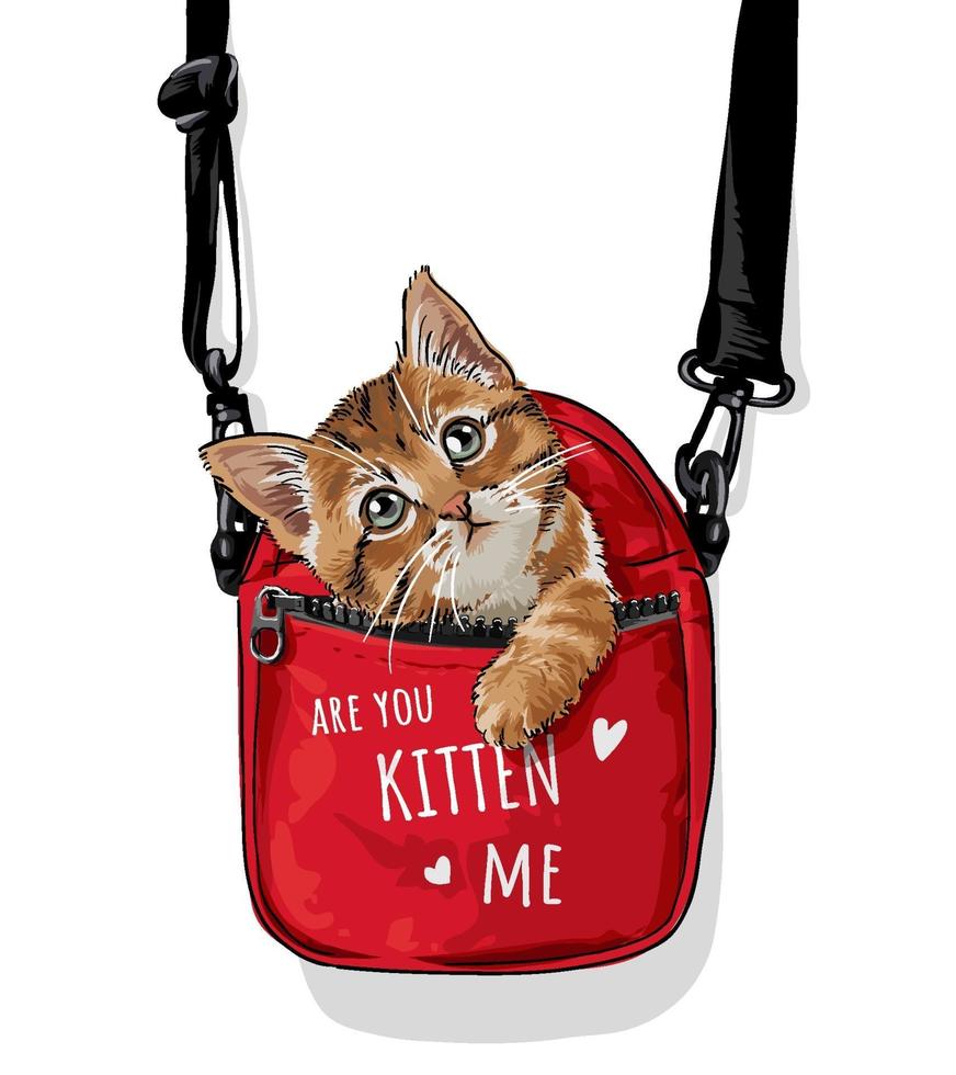 lindo gato en ilustración de bolsa de transporte roja vector