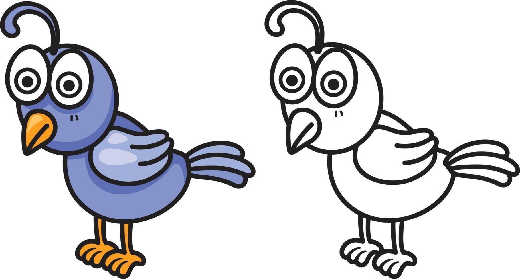 colorful and black and white quail for coloring book vector