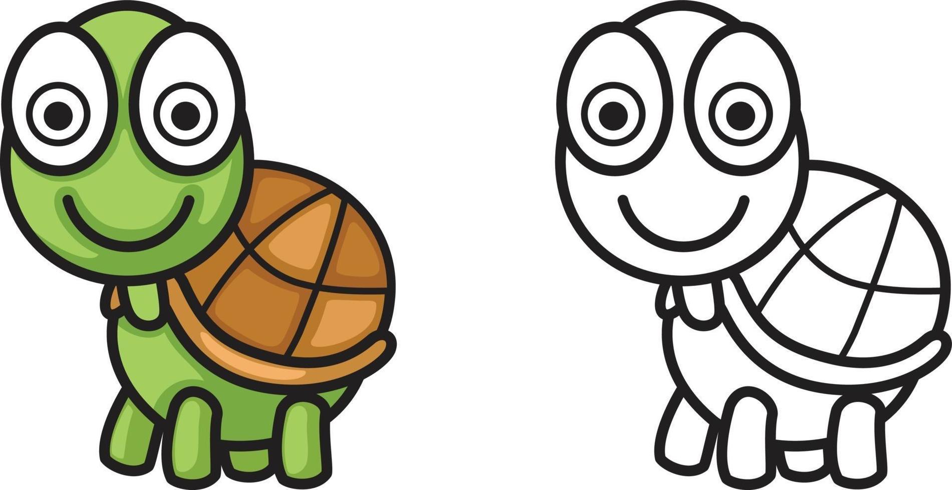 colorful and black and white turtle for coloring book vector